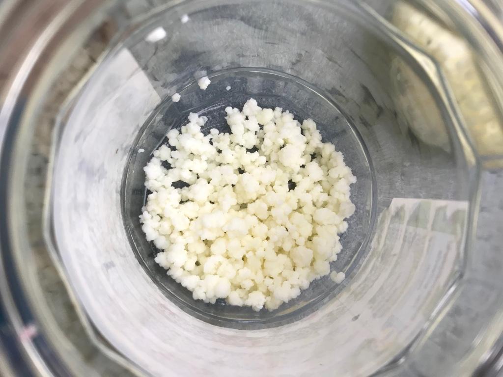 Melk Kefir korrels, Divers, Produits alimentaires, Enlèvement ou Envoi