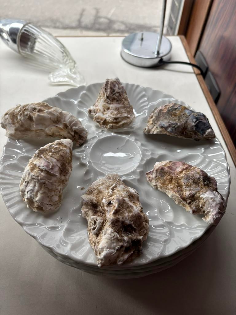Vintage Bavaria porselein oesterborden (6), Huis en Inrichting, Keuken | Servies, Ophalen, Porselein, Bord(en)