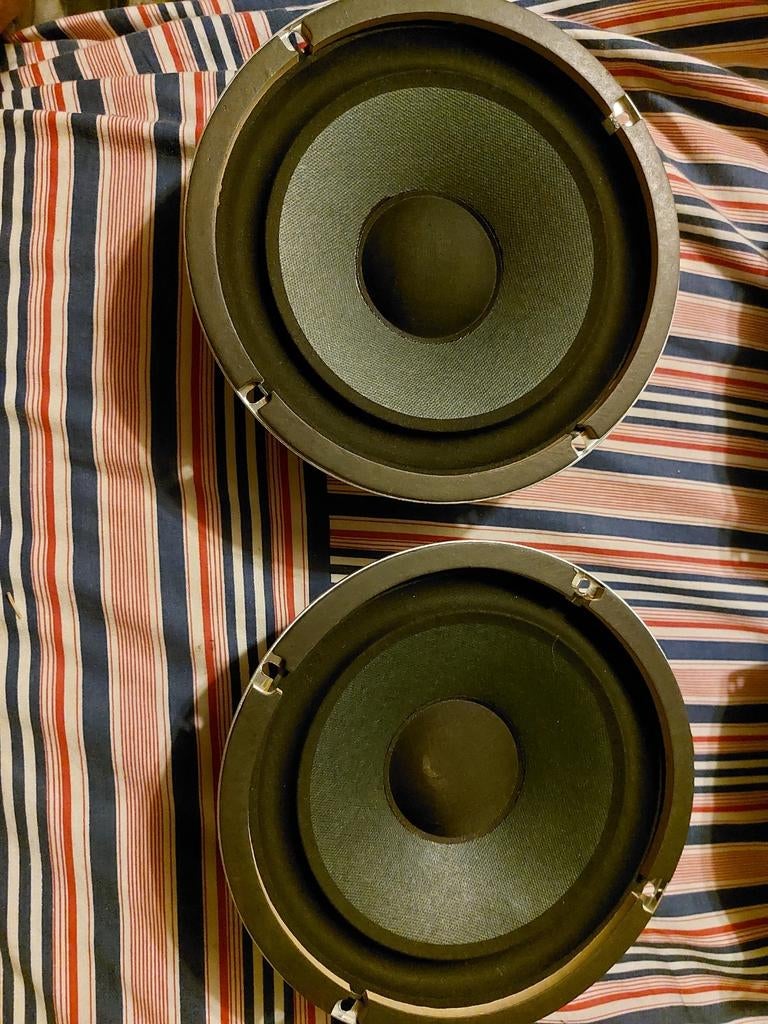 2 haut-parleurs woofer 21 cm 8 0hm 40 watt+-, Neuf, Autres marques, Moins de 60 watts, Enlèvement ou Envoi