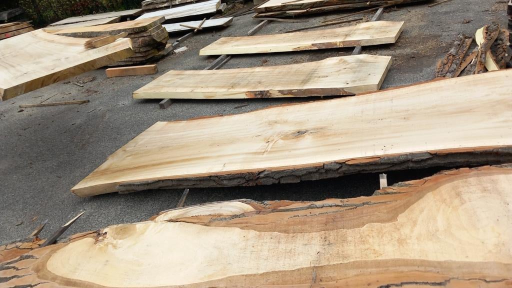 Boom boomstamtafels tafelbladen planken, Ophalen, Nieuw, Planken