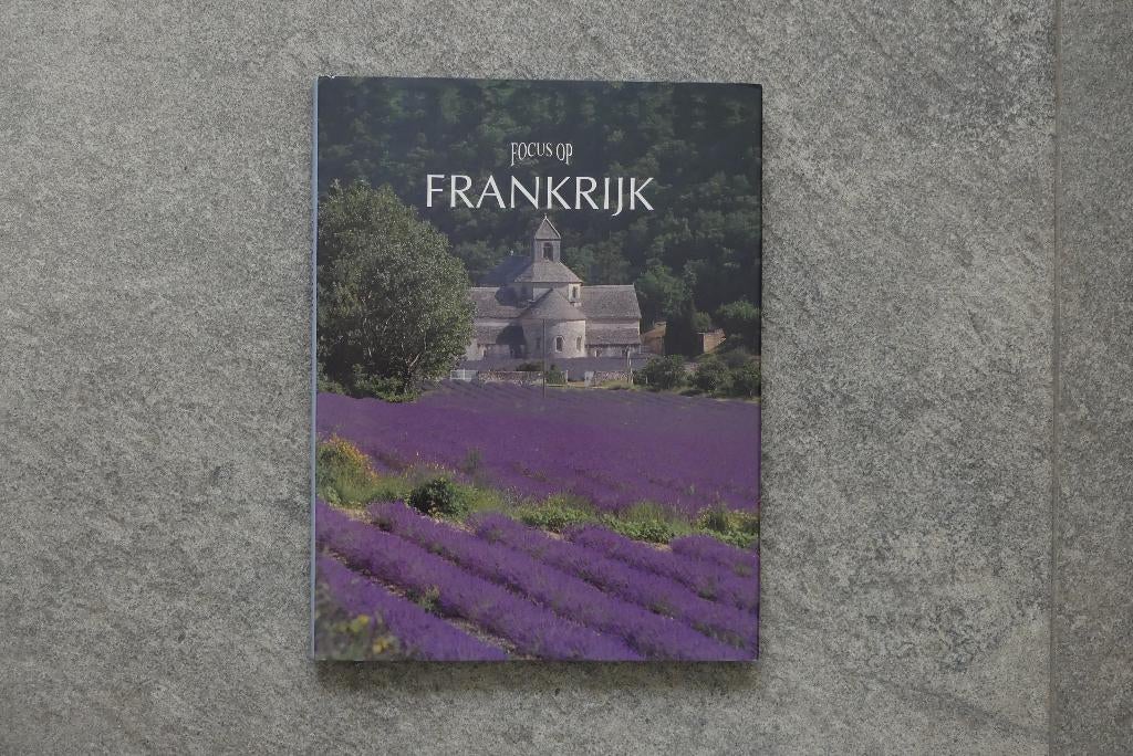 Boek, Focus op Frankrijk, Boeken, Ophalen of Verzenden, Gelezen, Overige merken, Europa