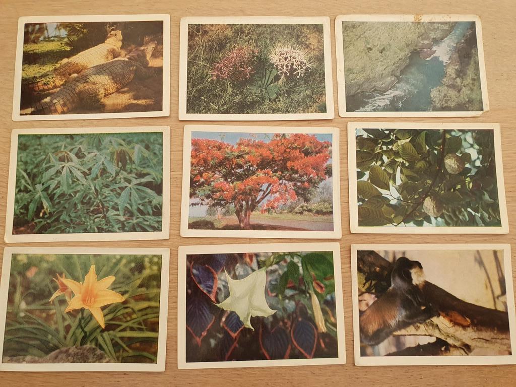 Groot lot Côte d'Or prenten Faunaflor, Collections, Enlèvement ou Envoi, Gravure, Nature, Utilisé