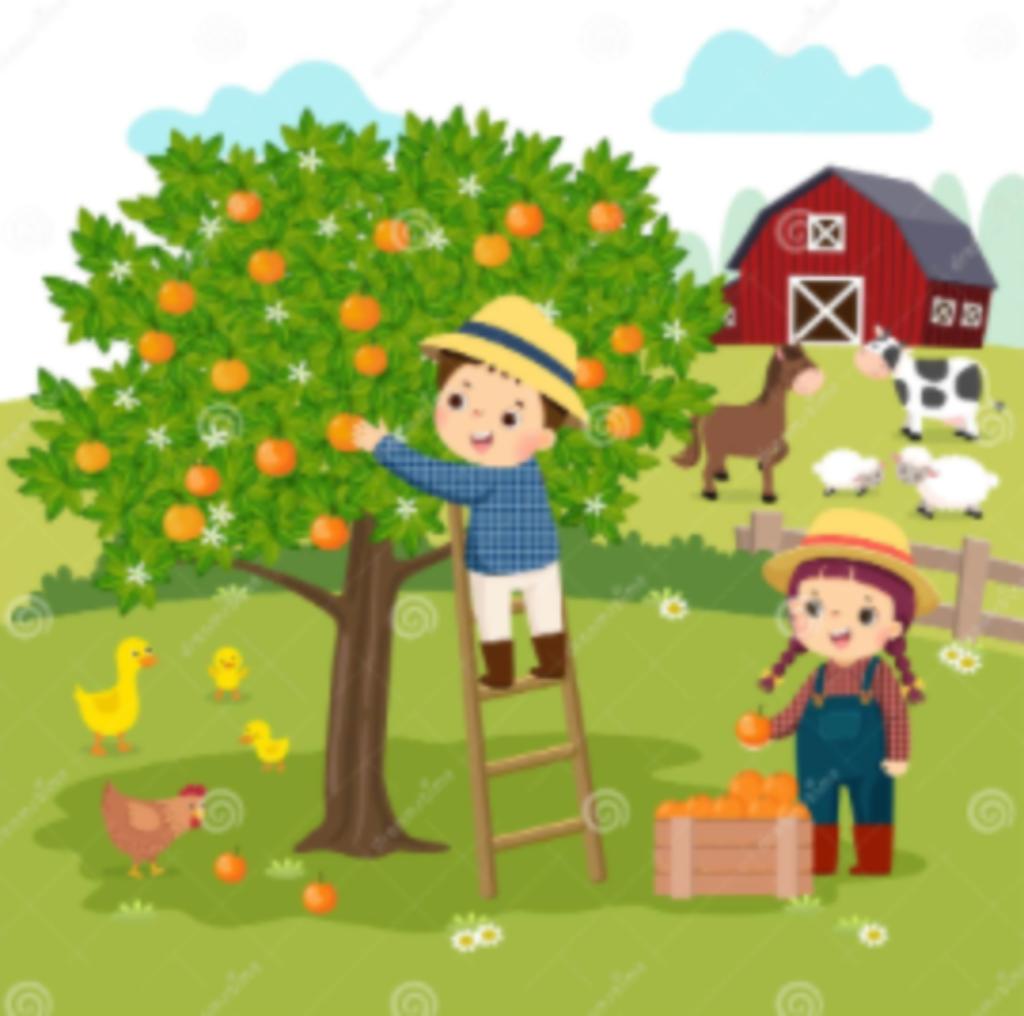 HULP VOOR EIGENDOM, LANDGOED, BOERDERIJ, ERFENIS, Immo