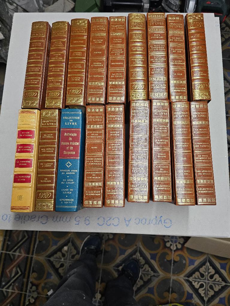 Livres - Romans, Enlèvement, Utilisé