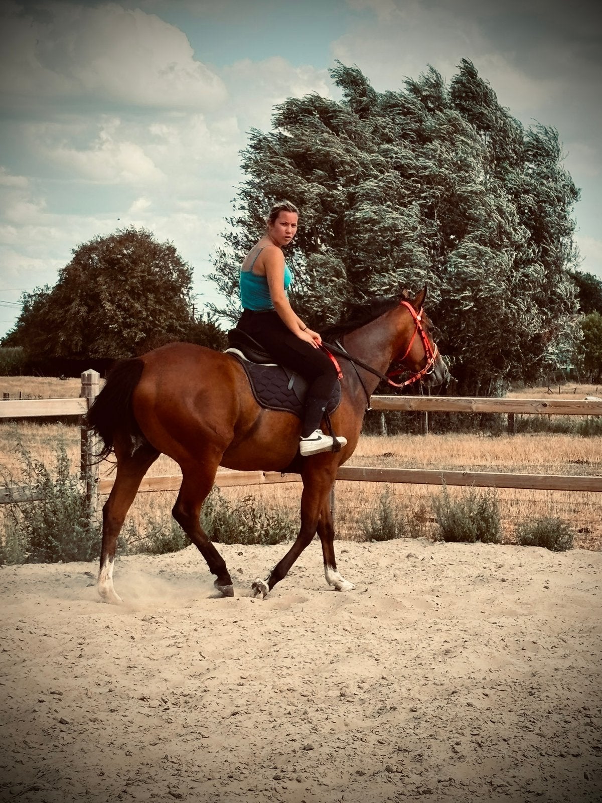knappe merrie!, Dieren en Toebehoren, Paarden, Merrie, Zadelmak, 3 tot 6 jaar, 160 tot 165 cm