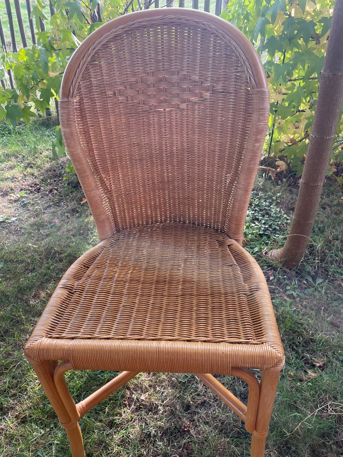 Rotan stoel, Ophalen, Gebruikt, Riet of Rotan