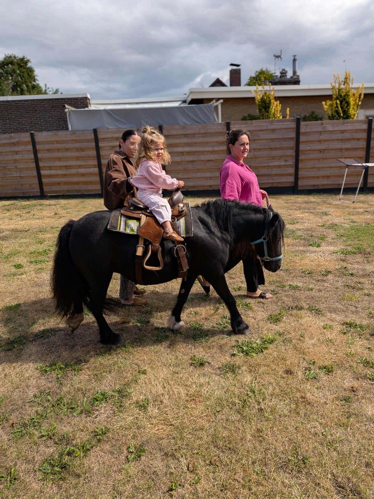 A pony merrie 1m10 waarschijnlijk drachtig, Dieren en Toebehoren, Pony's, Merrie, A pony (tot 1.17m), 7 tot 10 jaar