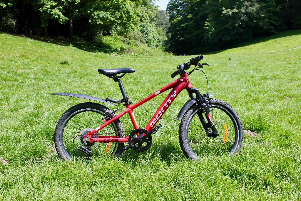 Vélo, Frein sur jante, Monty, 20 pouces, Enlèvement