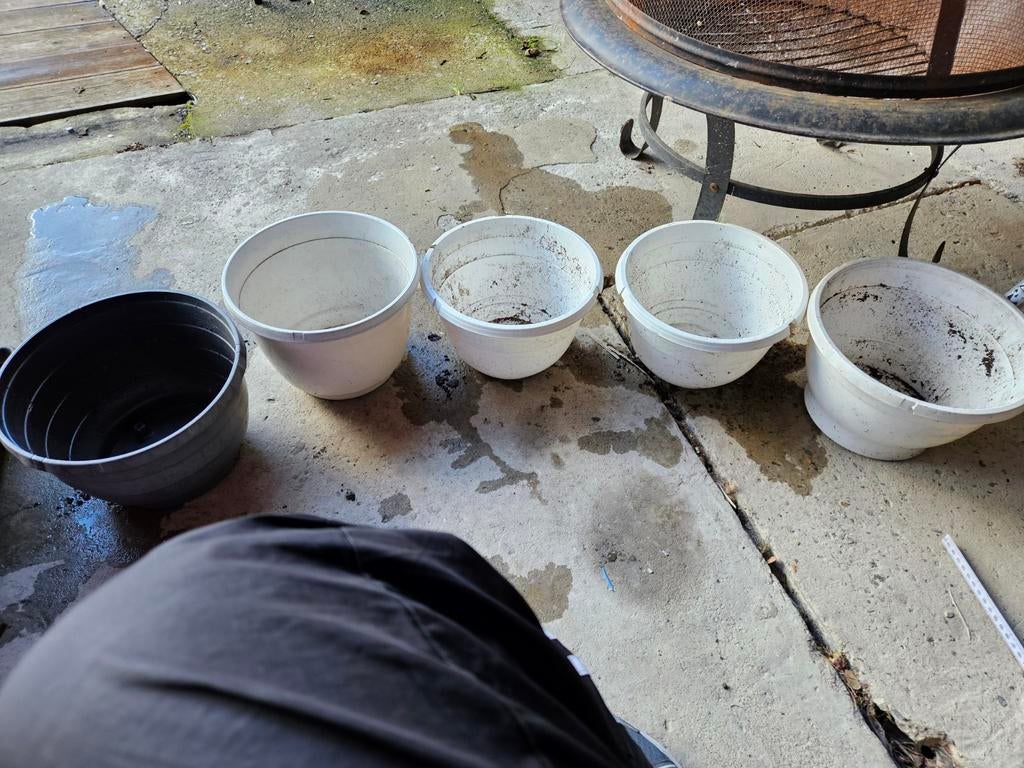 Divers pots de fleurs et jardinières, Jardin & Terrasse, Enlèvement, Utilisé, Carré, Intérieur