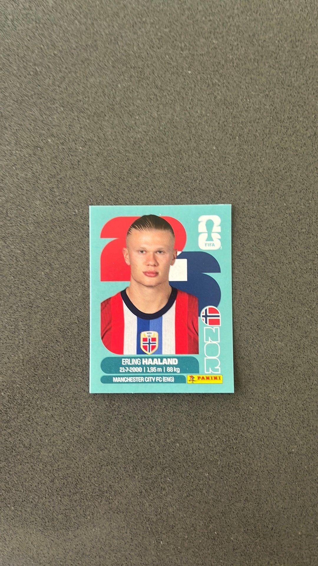Voetbalkaarten, Hobby en Vrije tijd, Stickers en Plaatjes, Ophalen, Zo goed als nieuw, Sticker