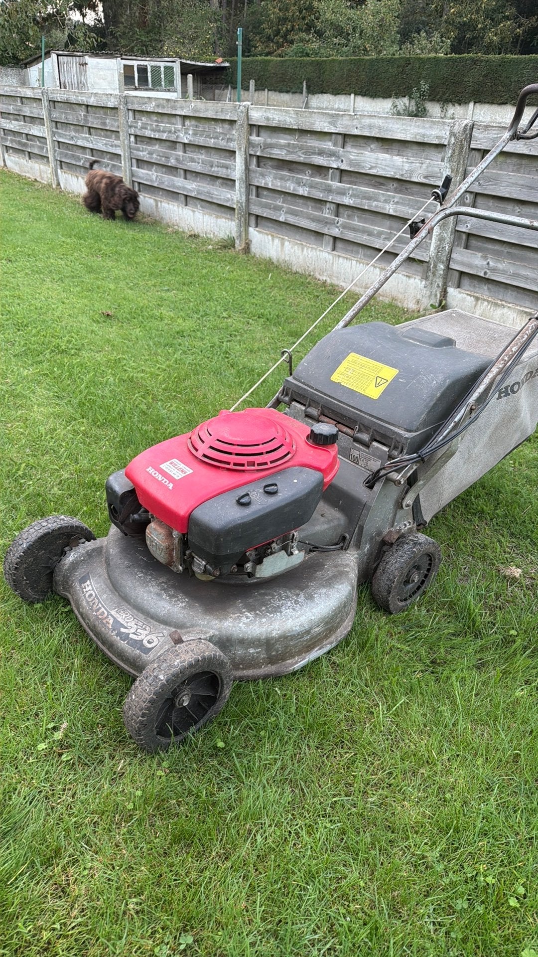 Honda HRD536, Tuin en Terras, Ophalen, Gebruikt, 50 cm of meer, Benzine-grasmaaier