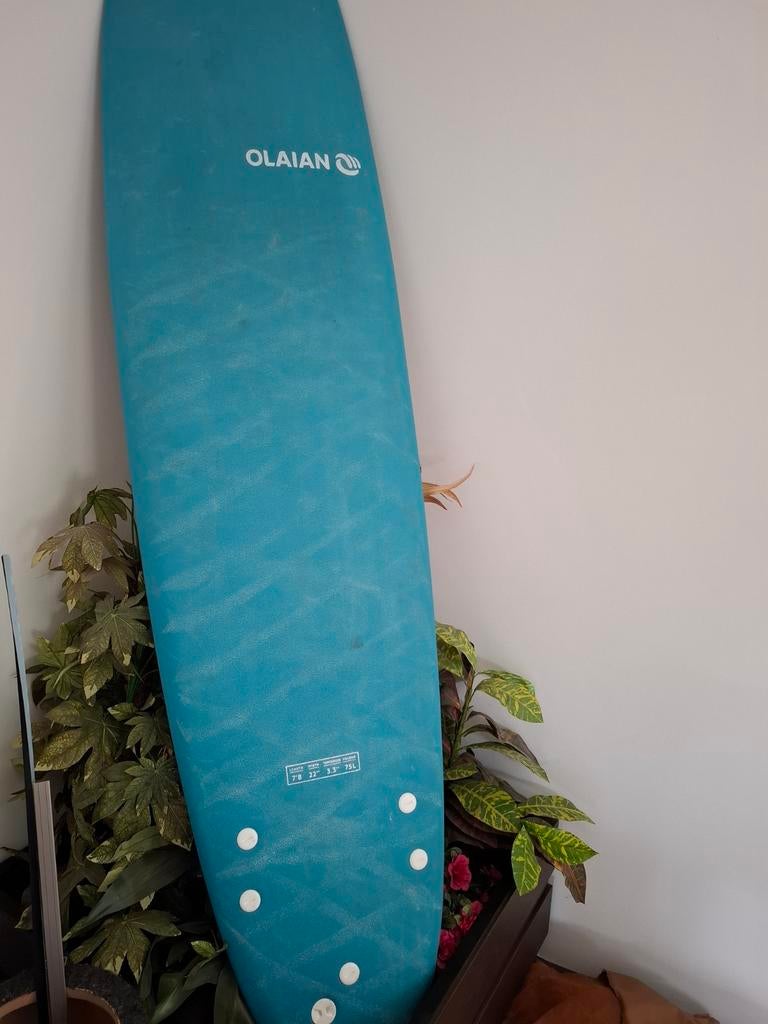 Golfsurfplank olaian, Ophalen