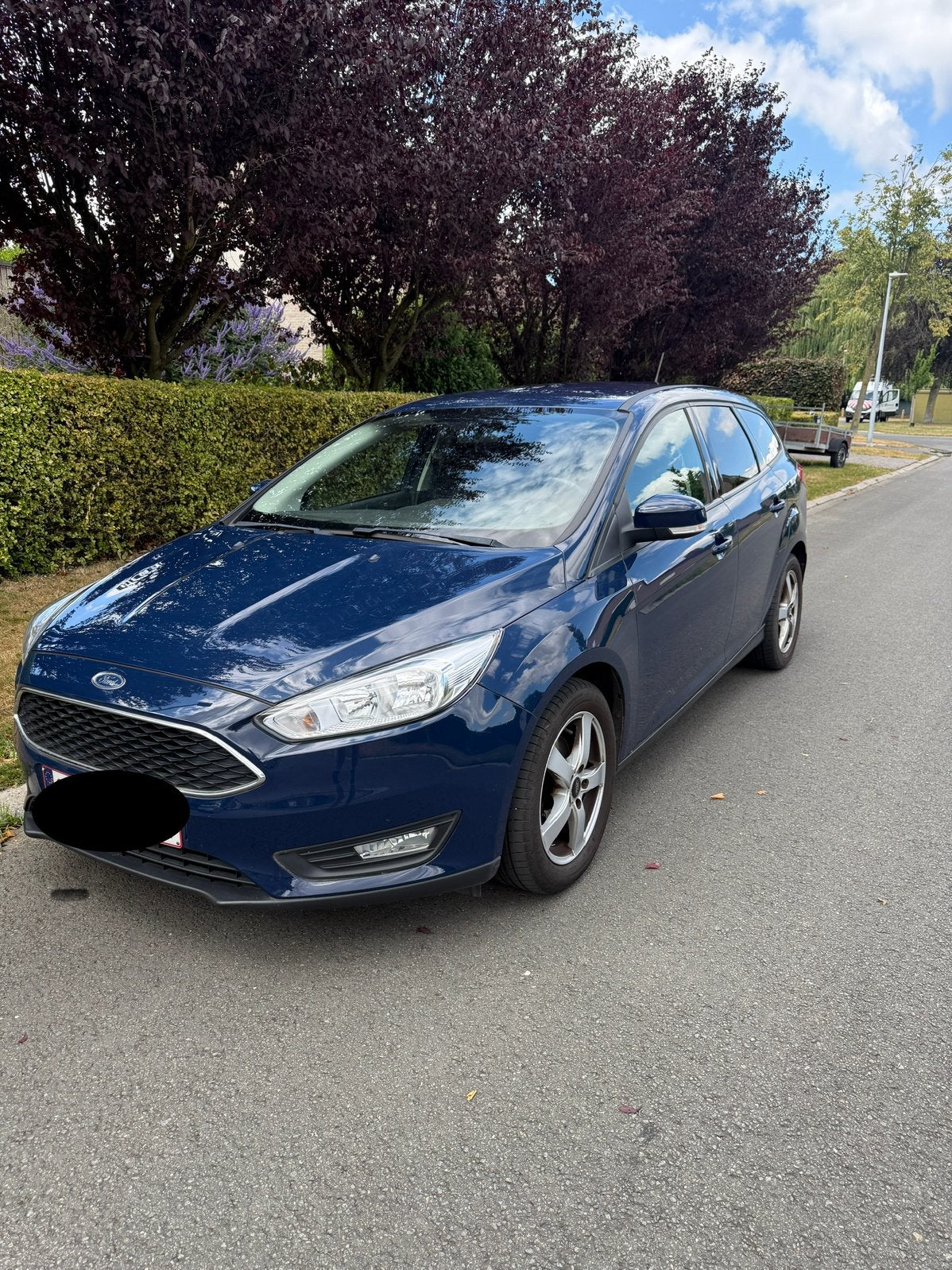 Ford Focus 1.0 Ecoboost Business Break, Stof, Blauw, 5 deurs, Particulier