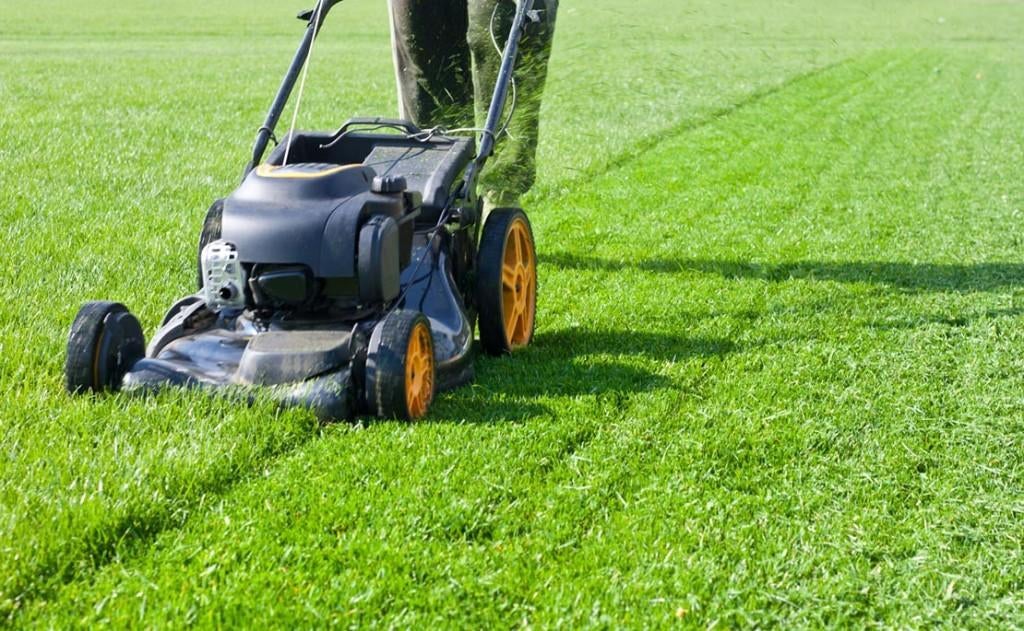 Tuinonderhoud van A tot Z, Enlèvement, Herbe
