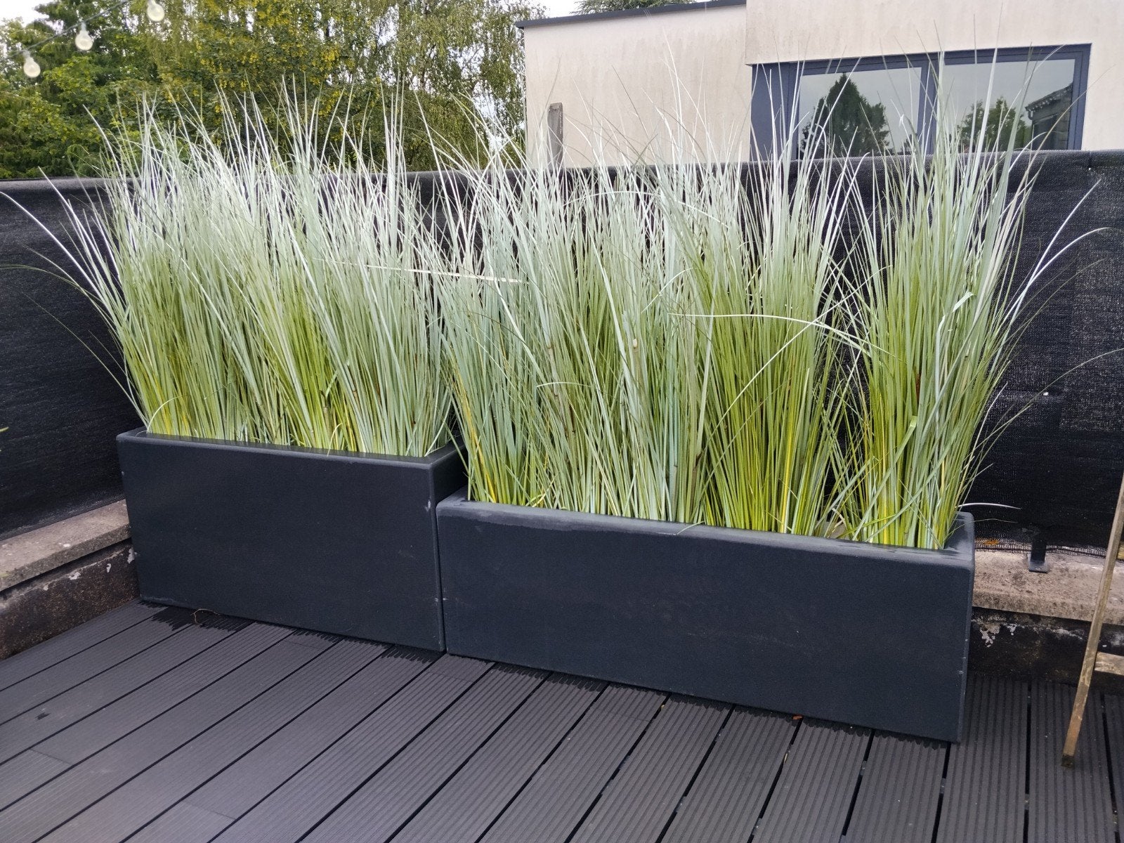 Bloem, plantenbakken met kunst sierduingras, Ophalen