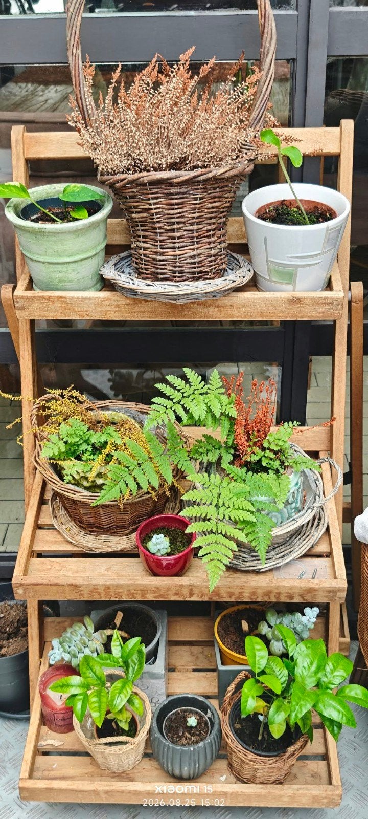 Houten plantenrek / plantentrap met 3 lagen (opvouwbaar), Enlèvement, Intérieur