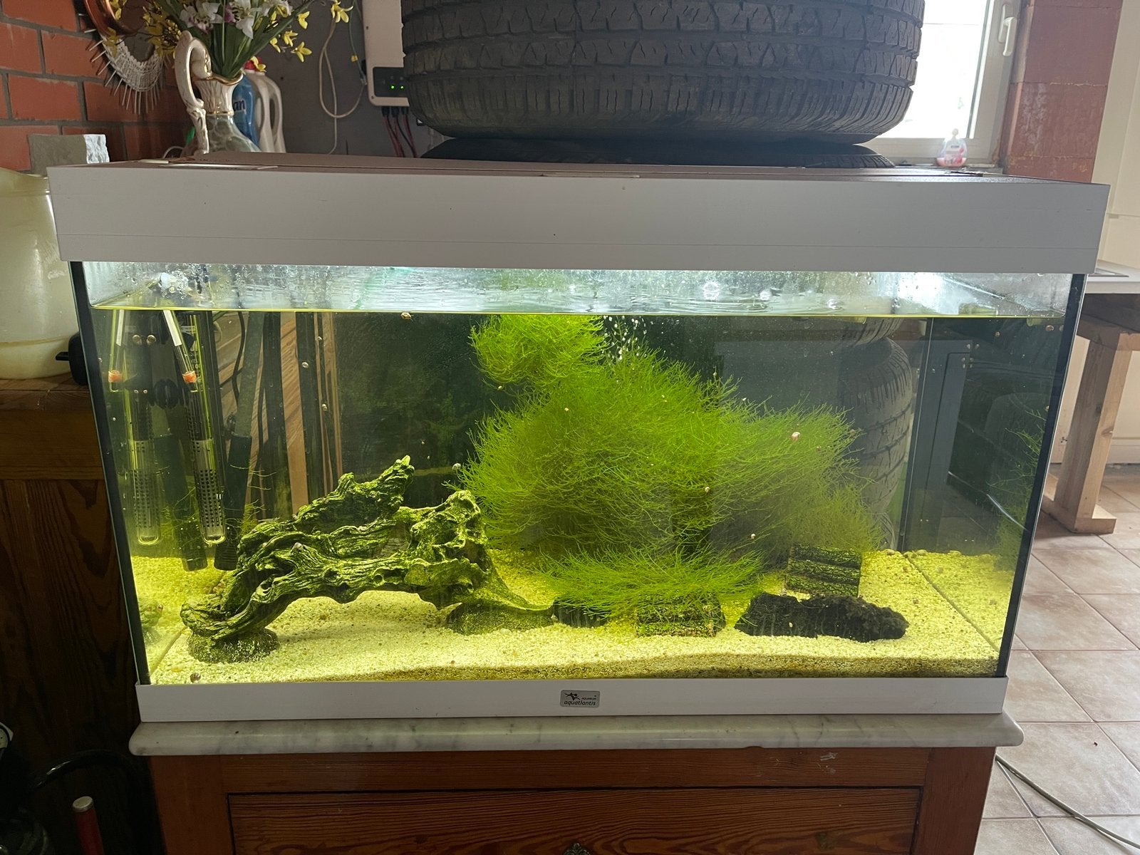 Mooi aquarium, Animaux & Accessoires, Enlèvement, Comme neuf, Filter