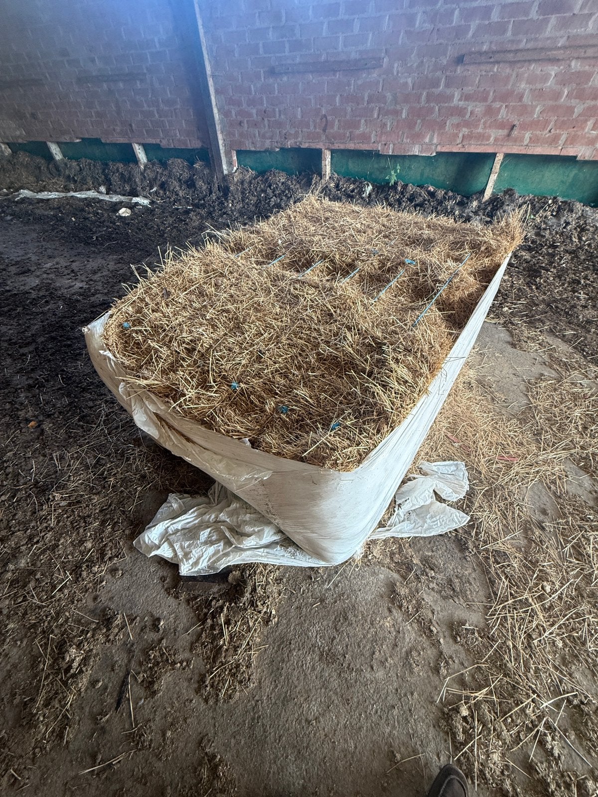 2'pakken hooi gratis, Dieren en Toebehoren, Paarden