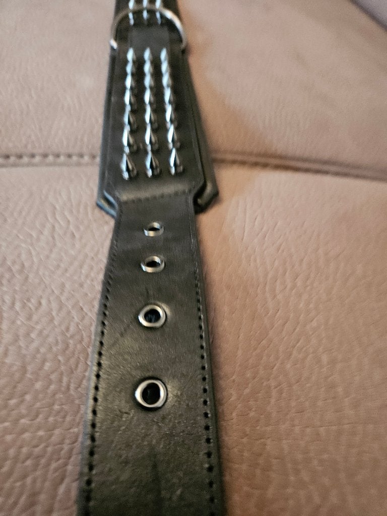 hondenhalsband, Ophalen of Verzenden, Nieuw, Halsband