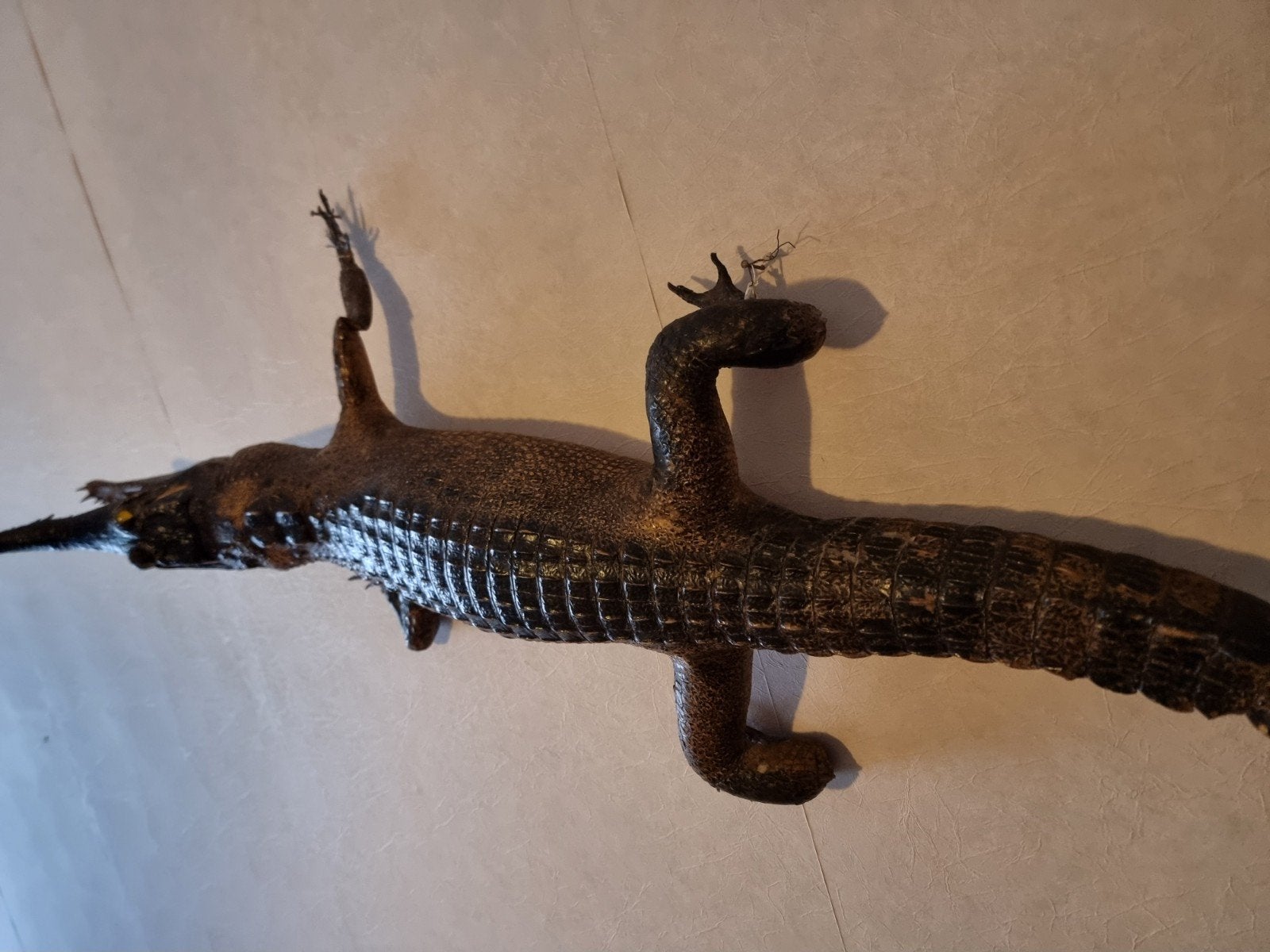 krokodil uit congo ( opgezet)..1m20 lang in perfecte staat.., Antiek en Kunst, Ophalen