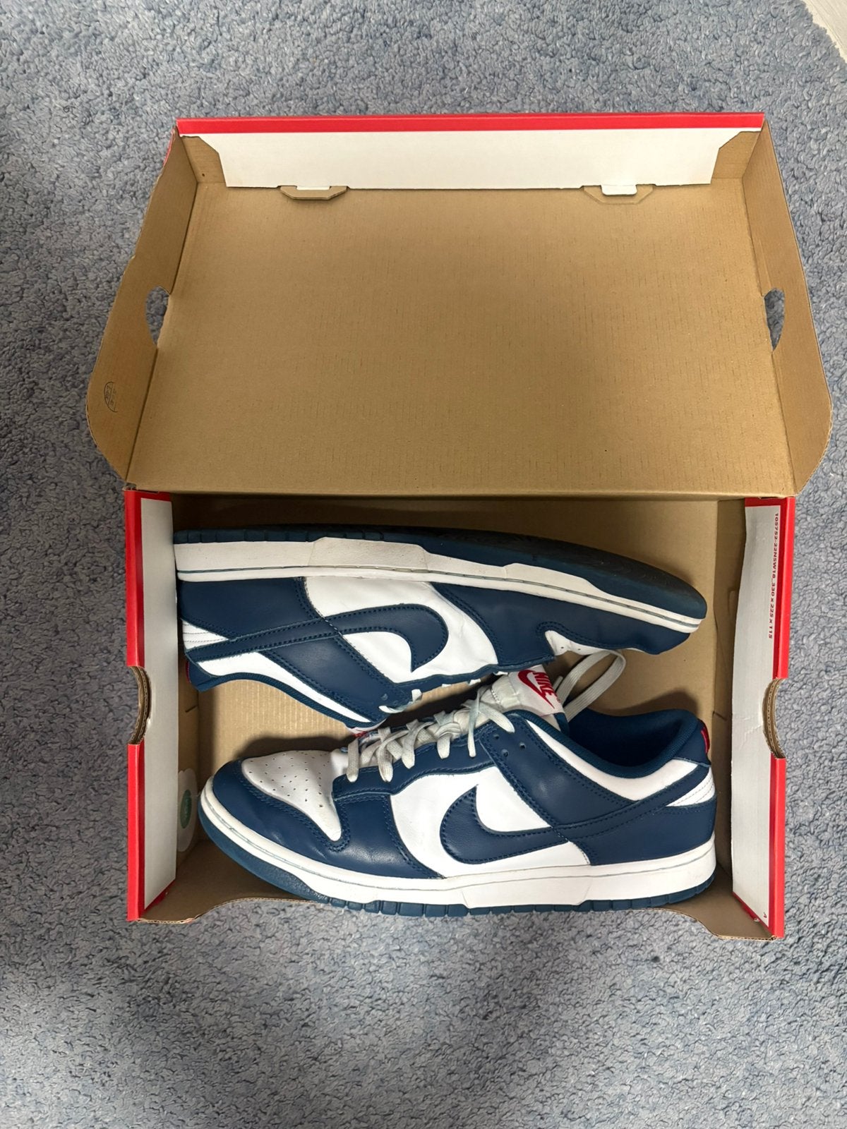 NIKE DUNK LOW RETRO BLEU VALERIANE, Ophalen, Blauw