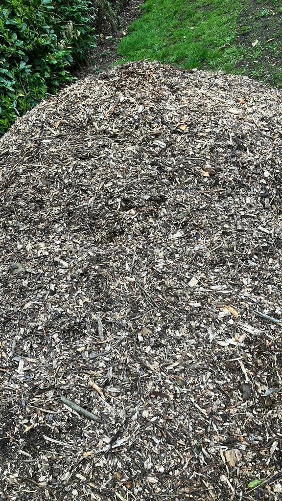 Hakselhout te koop, Ophalen