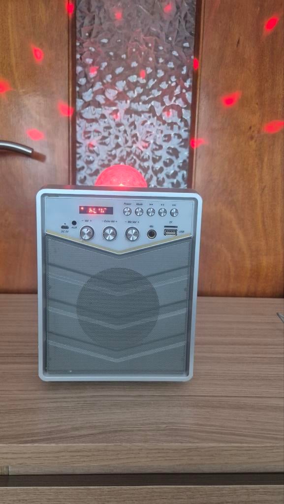 Set Karaoké Envivo - Enceinte Bluetooth avec Micro et, Musique & Instruments, Enlèvement, Volume