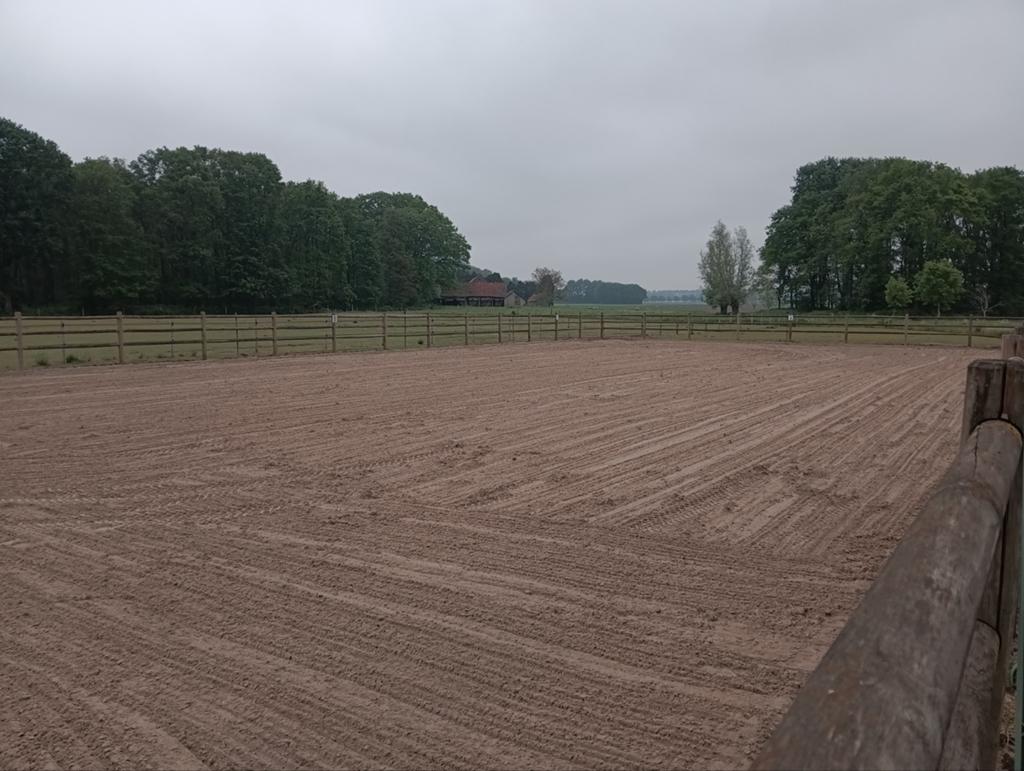 Voor max 3 paarden bij Overslag accommodatie te huur., Animaux & Accessoires, Box & Pâturages, Mise à l'étable, Pâturage, 2 ou 3 chevaux ou poneys