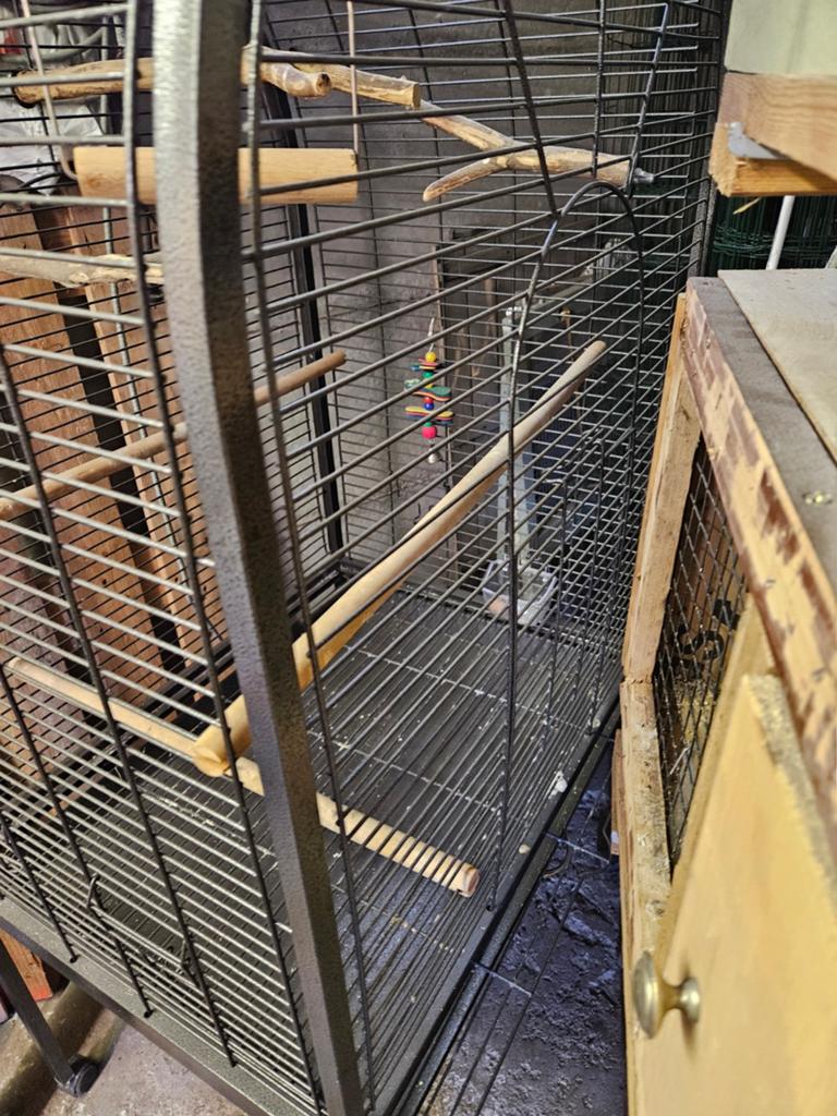 Papegaaienkooi, Dieren en Toebehoren, Ophalen of Verzenden