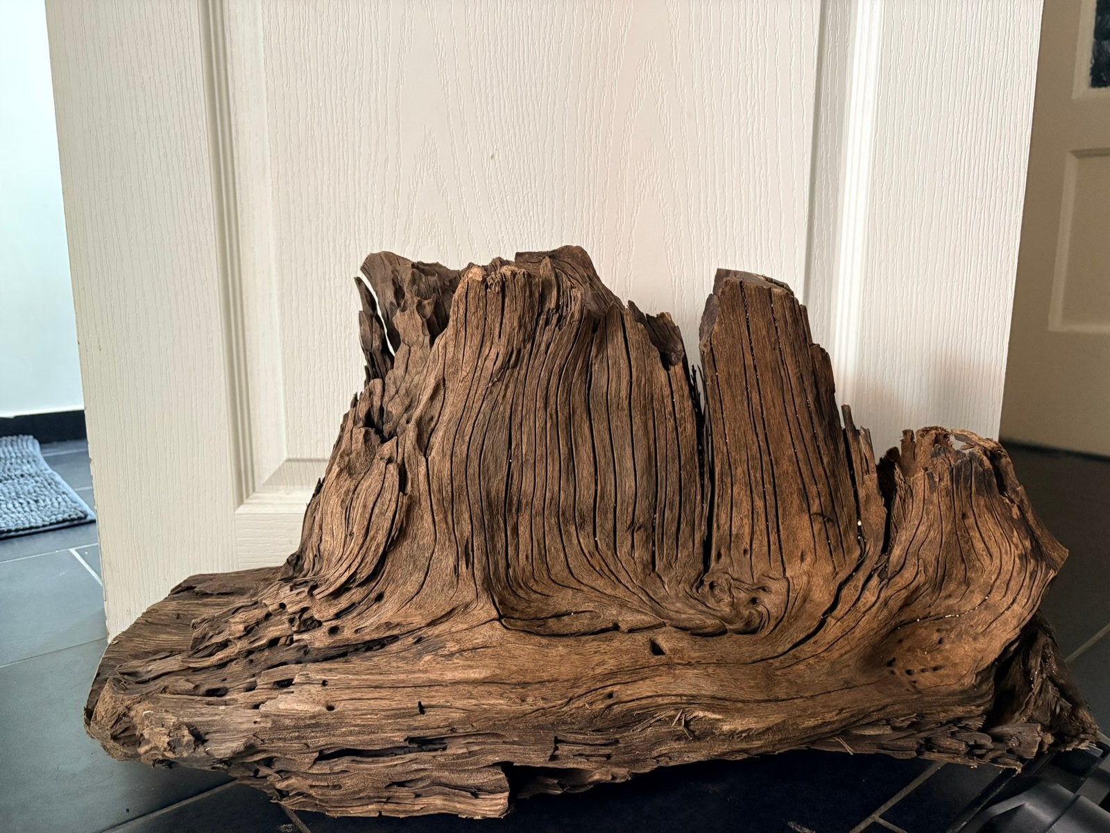 Grand bois aquarium ou terrarium, Ophalen, Zo goed als nieuw, Hout