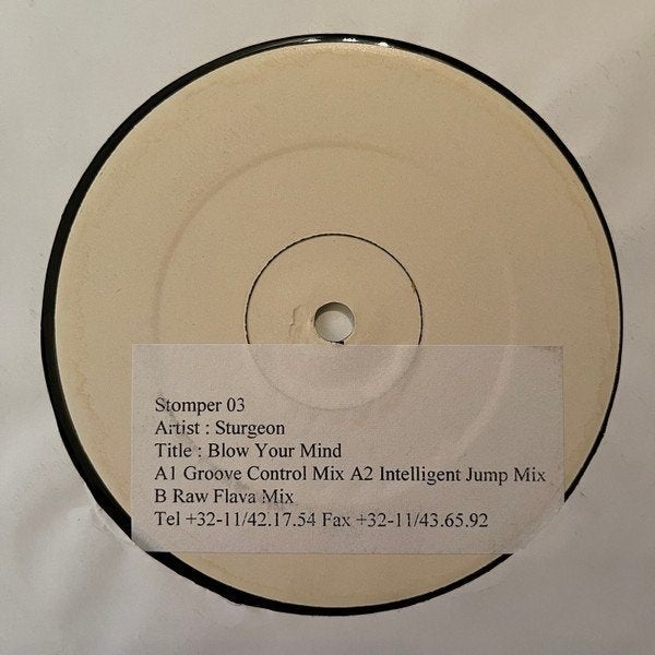 Sturgeon - Blow Your Mind, 12 pouces, House, Enlèvement ou Envoi, Promo