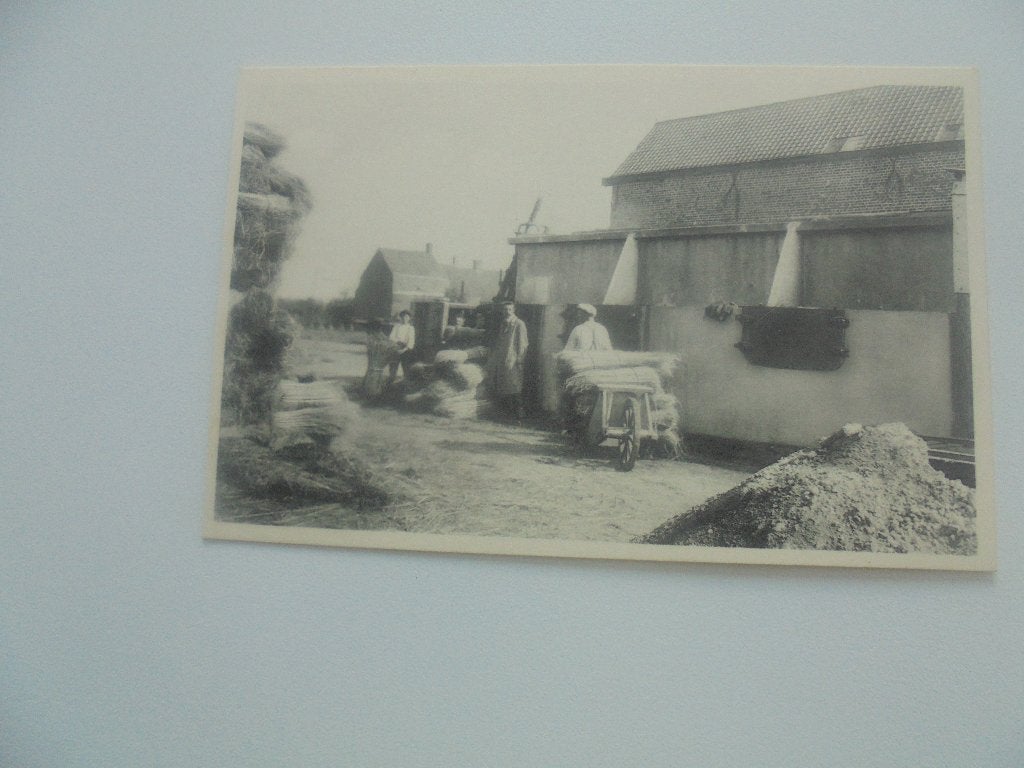 vlasteelt- het roten in bassins, Verzamelen, Postkaarten | België, Verzenden, 1920 tot 1940, Ongelopen, West-Vlaanderen