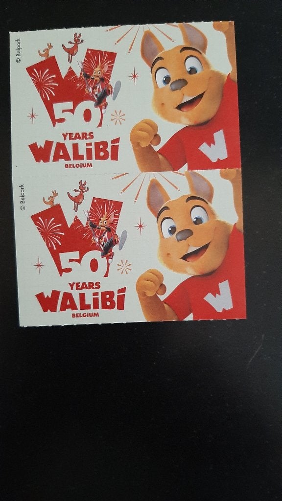 2 Walibi tickets, Tickets en Kaartjes, Recreatie | Pretparken en Attractieparken, Twee personen, Ticket of Toegangskaart