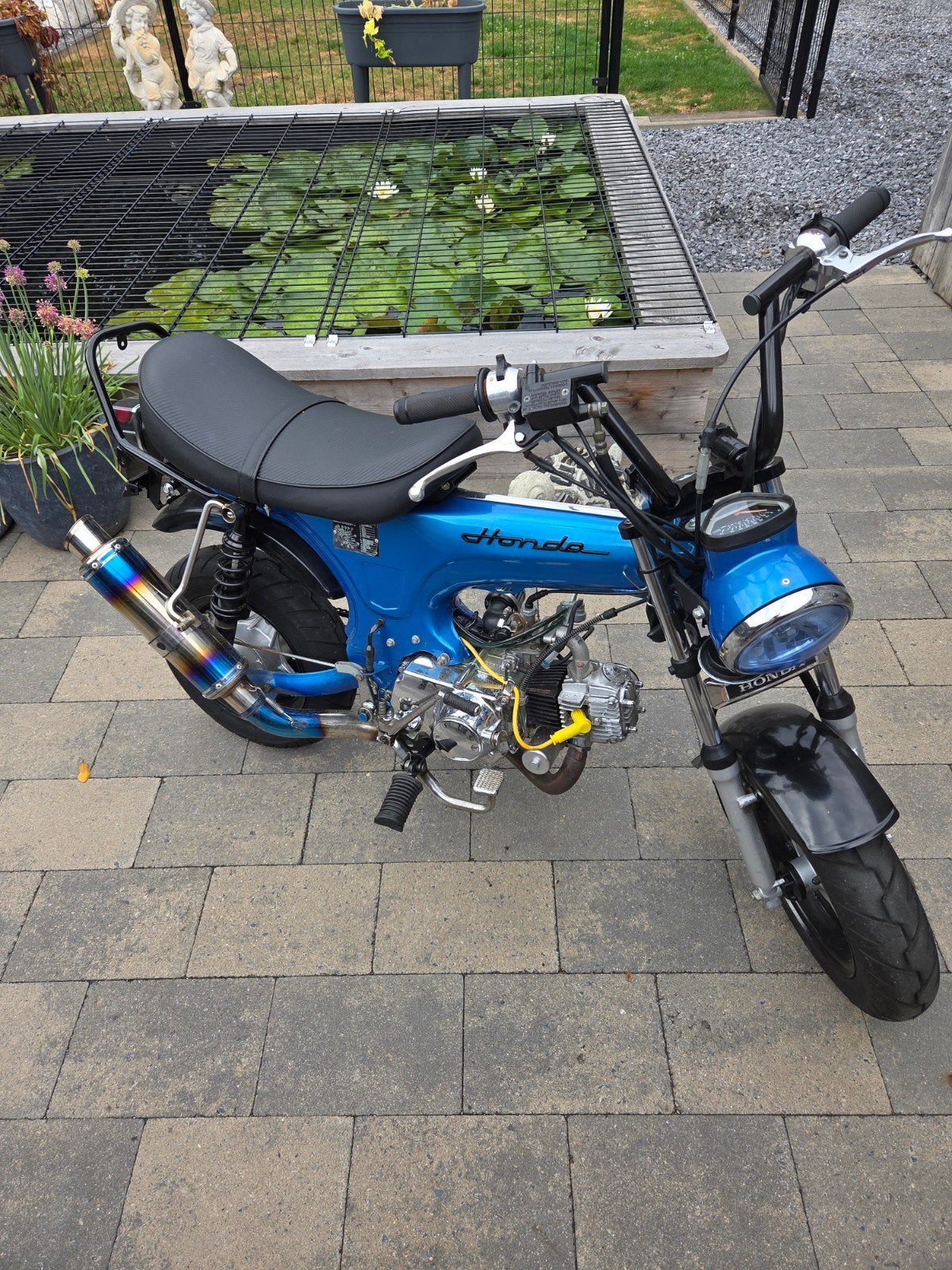 honda dax skyteam, 4 vitesses, 49 cm³, Comme neuf, Classe B (45 km/h)