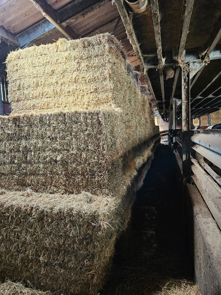Hooi 2026, Dieren en Toebehoren