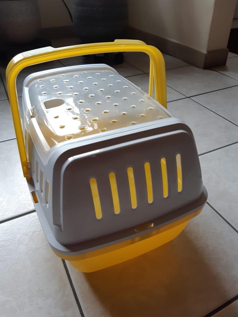Transportkistje voor knaagdieren of katje, Dieren en Toebehoren, Ophalen, Cavia