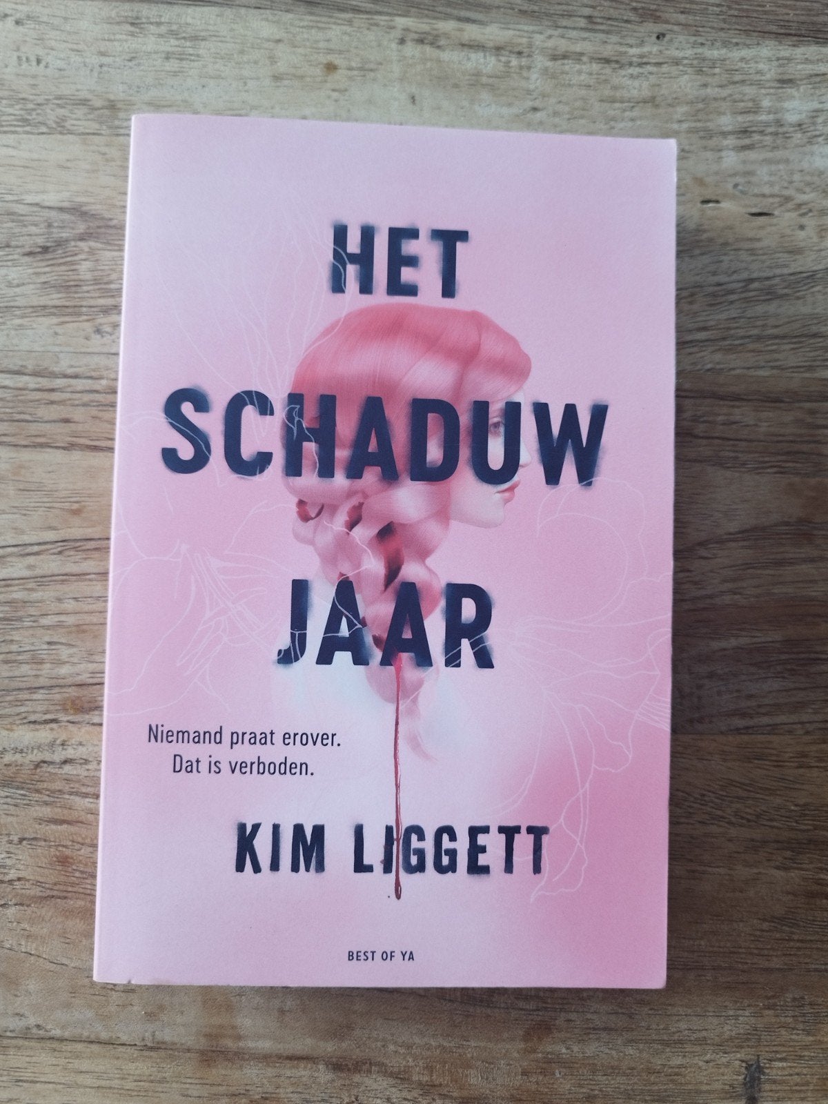 Kim Liggett - Het schaduwjaar, Livres, Livres pour enfants | Jeunesse | 13 ans et plus, Enlèvement, Kim Liggett