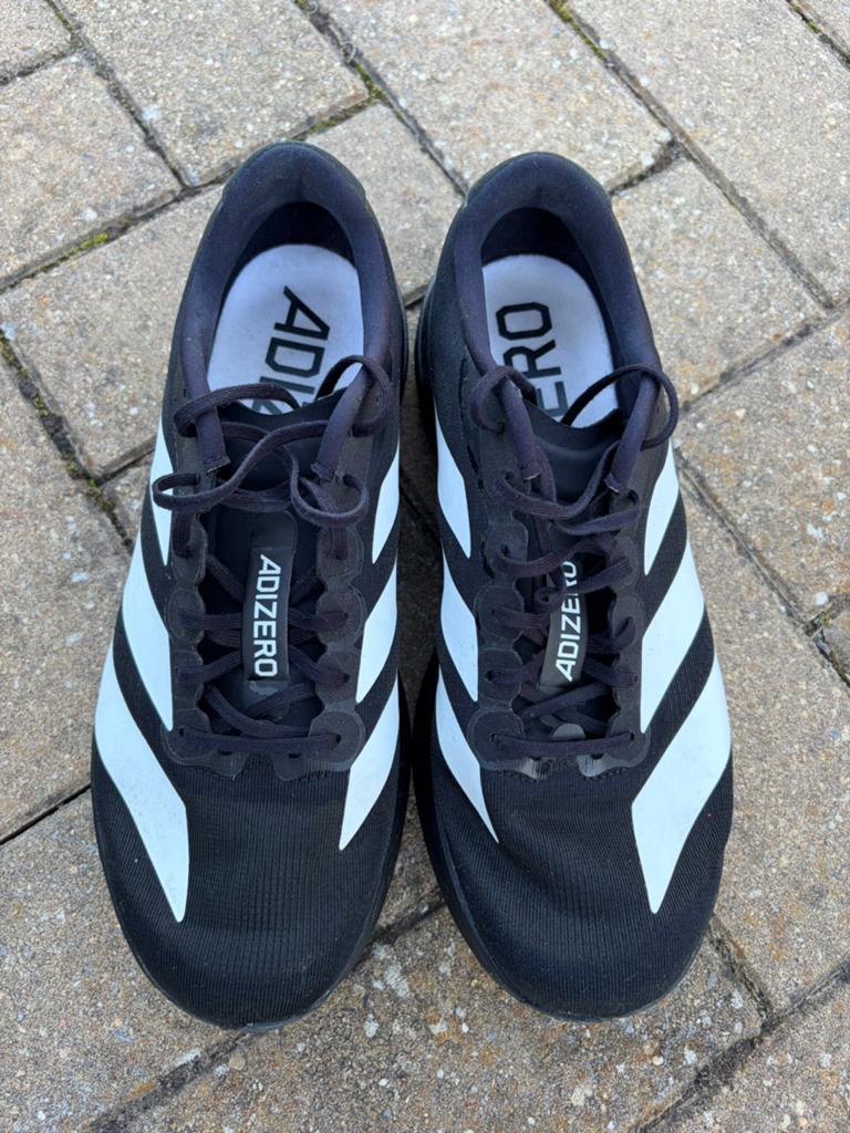 Adidas Homme EVO SL 44, Adidas, Course à pied, Chaussures de course à pied, Enlèvement