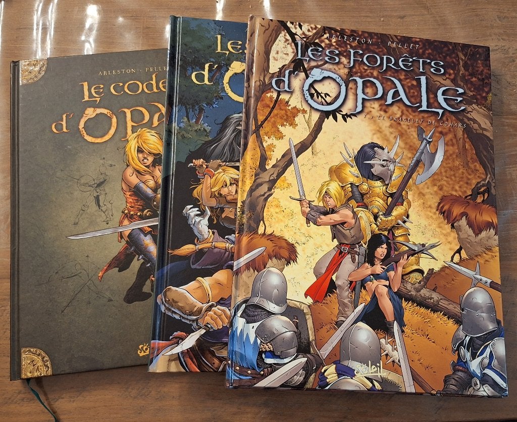 Série 10 bd Les forêts d'Opale, Enlèvement