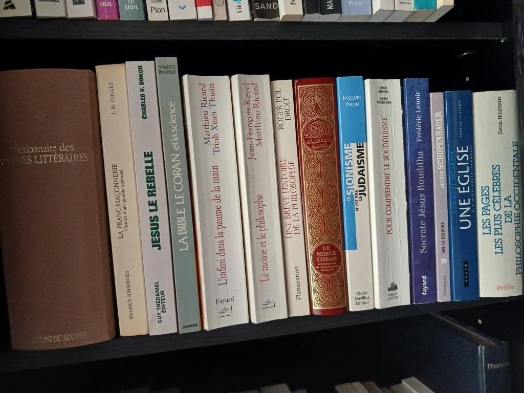 Set van 14 boeken over filosofieën en religies, Ophalen, Gelezen, Boeddhisme