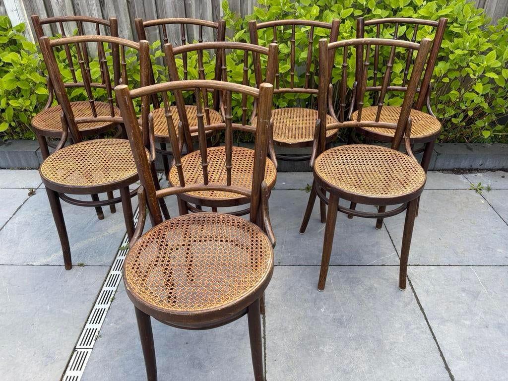 8 vintage Thonet stoelen Romania, Ophalen, Gebruikt