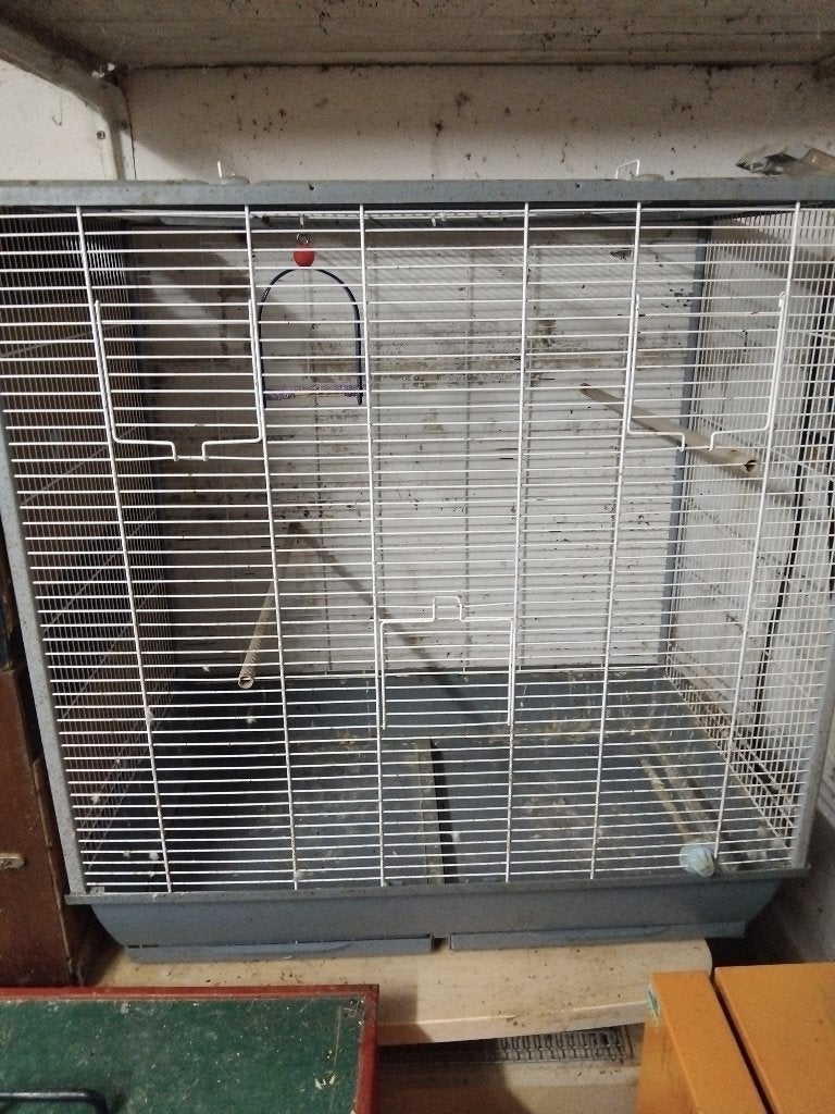 Grande cage a vendre, Animaux & Accessoires, Enlèvement, Utilisé, Métal, Volière