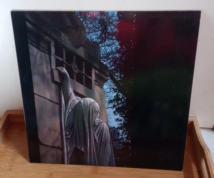 "Within The Realm Of A Dying Sun" (Dead Can Dance) LP ZGAN, Cd's en Dvd's, Vinyl | Overige Vinyl, Ophalen of Verzenden, Zo goed als nieuw