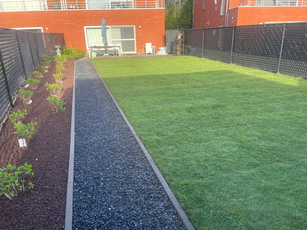 GAZON RENOVATIE/VERNIEUWEN GRATIS OFFERTE, Ophalen, Nieuw, 20 m² of meer, Gras