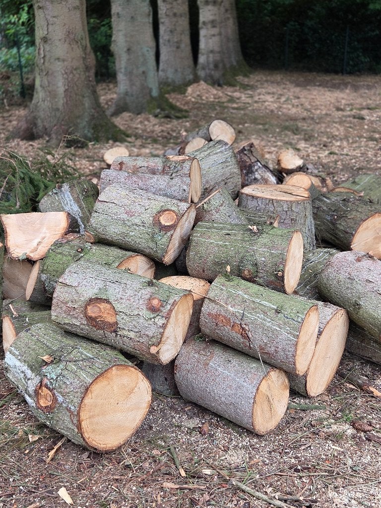 Bois d'allumage/chauffage (sapin), 3 à 6 m³, Enlèvement, Autres essences de bois, Bûches