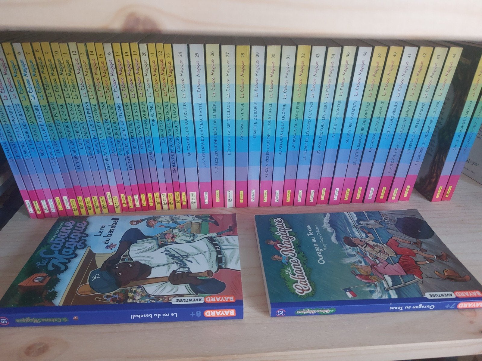 45 livres " La Cabane magique", Livres, Enlèvement