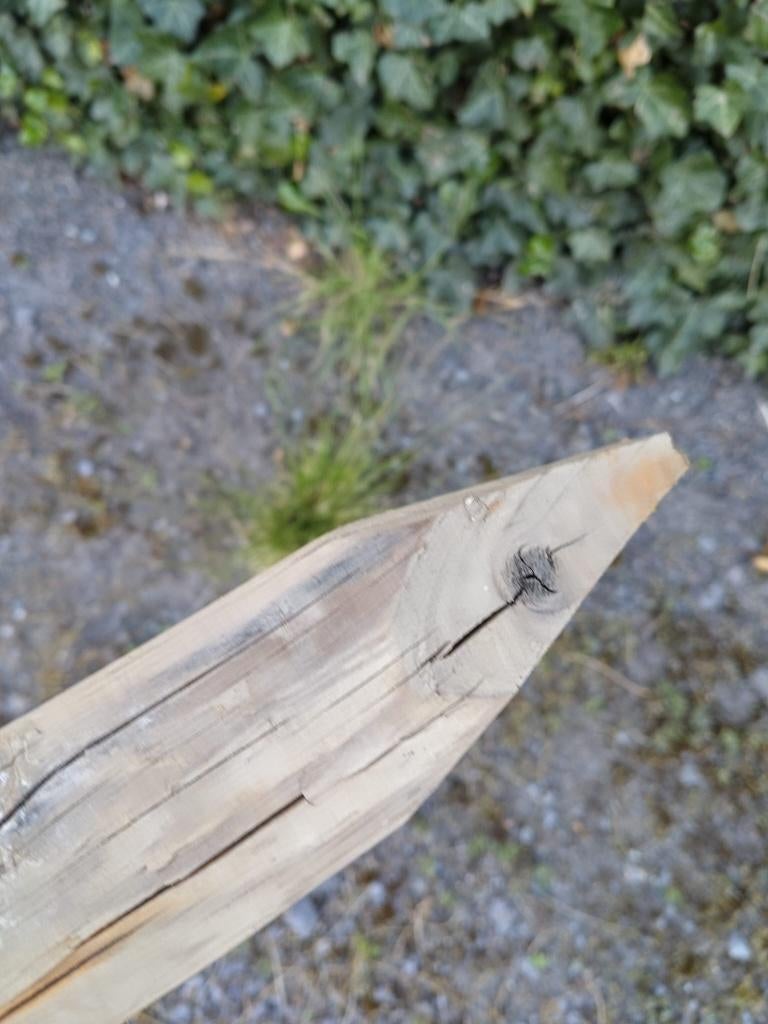 Houten paaltjes, Enlèvement, Utilisé, Moins de 180 cm, Poteaux