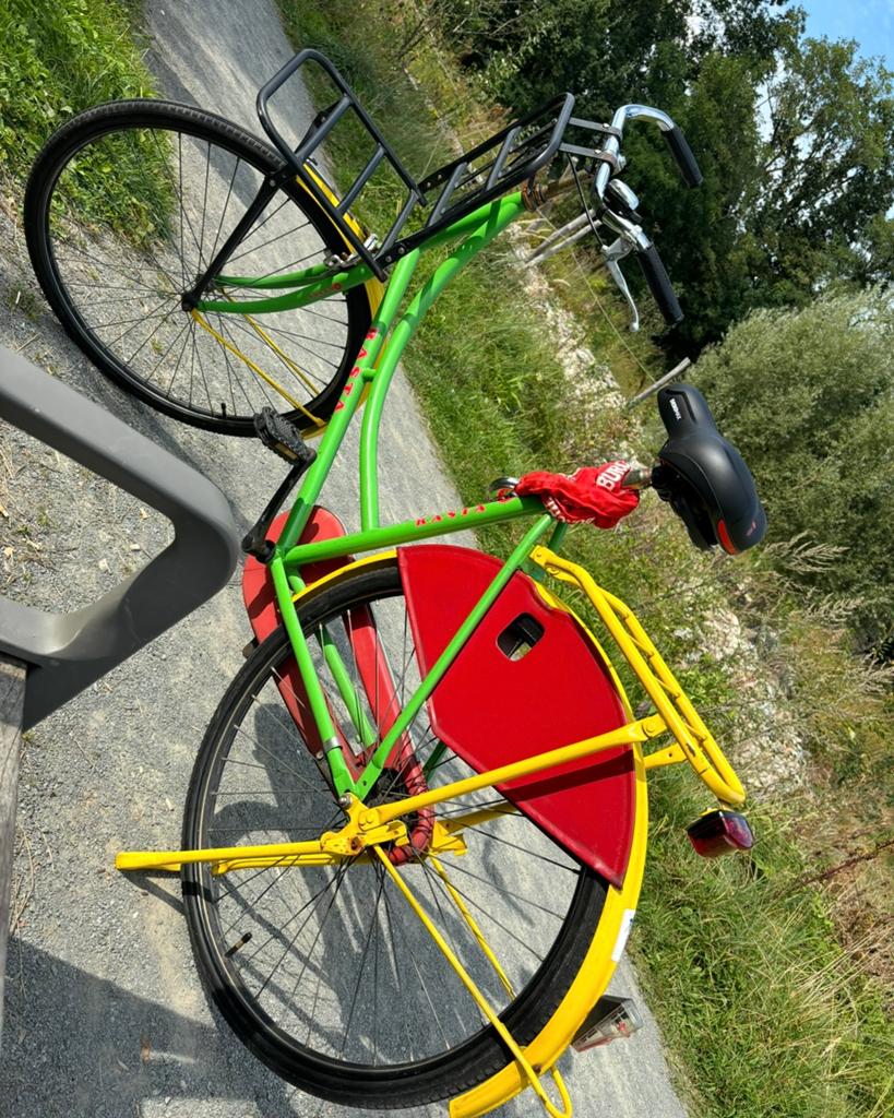 Uniseks stadsfiets met karakter ️, Fietsen en Brommers, Ophalen, Gebruikt, Terugtraprem