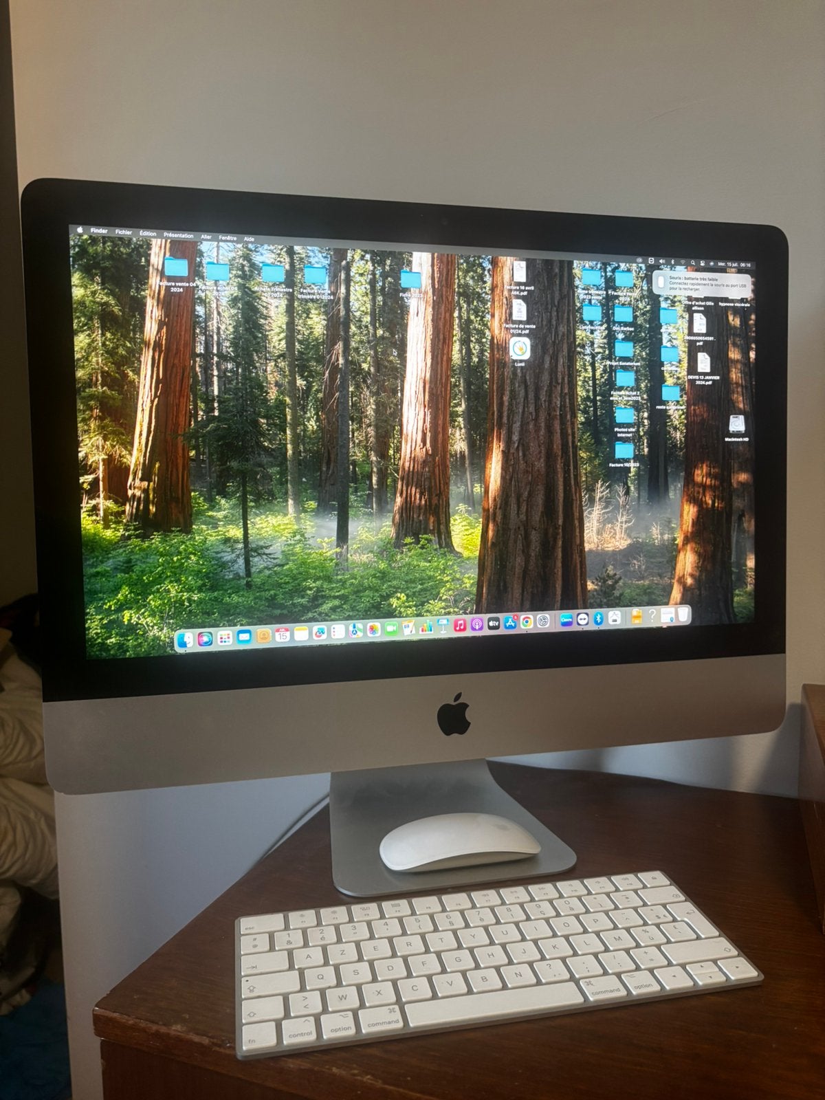 Imac 21,5 pouces (2019) 1To et 8Go parfait etat, Computers en Software, Apple Desktops, Ophalen, Zo goed als nieuw, IMac