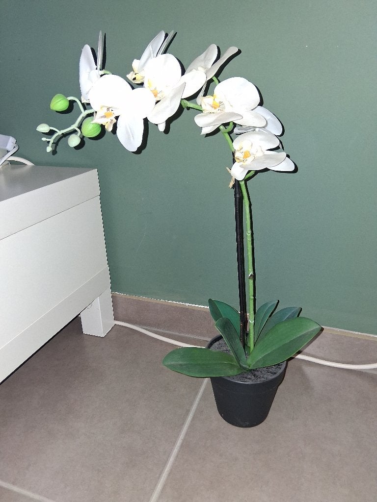 Décoration, Enlèvement, Utilisé